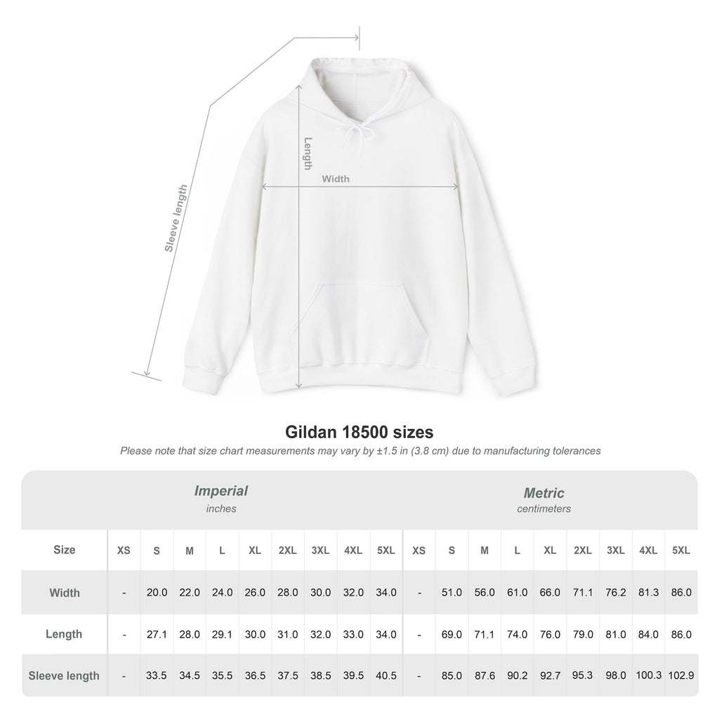 Evolution of Basketball Hoodie